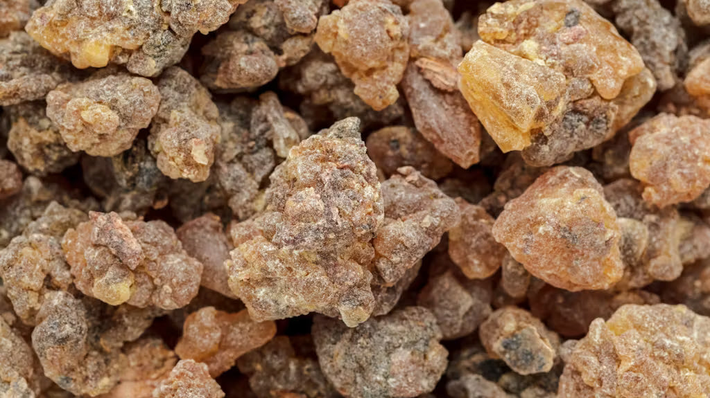 The Warm Embrace of Benzoin