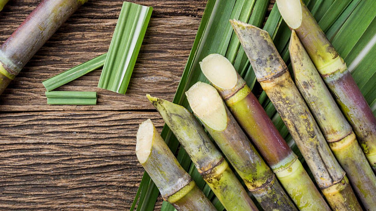 Why We Chose Certified Organic Sugarcane Alcohol for Our Fragrances