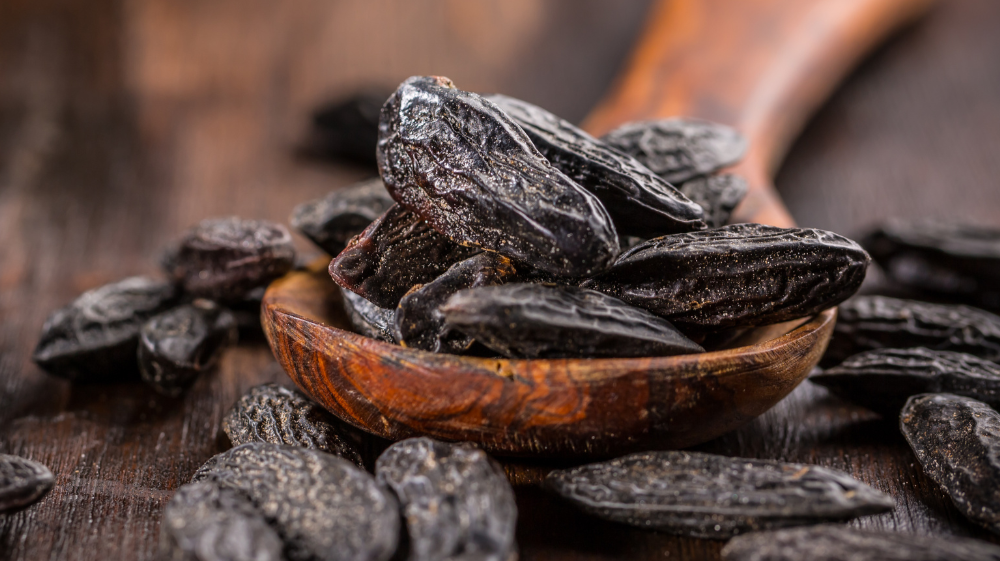 Ingredient Spotlight: The Warm Allure of Tonka Bean