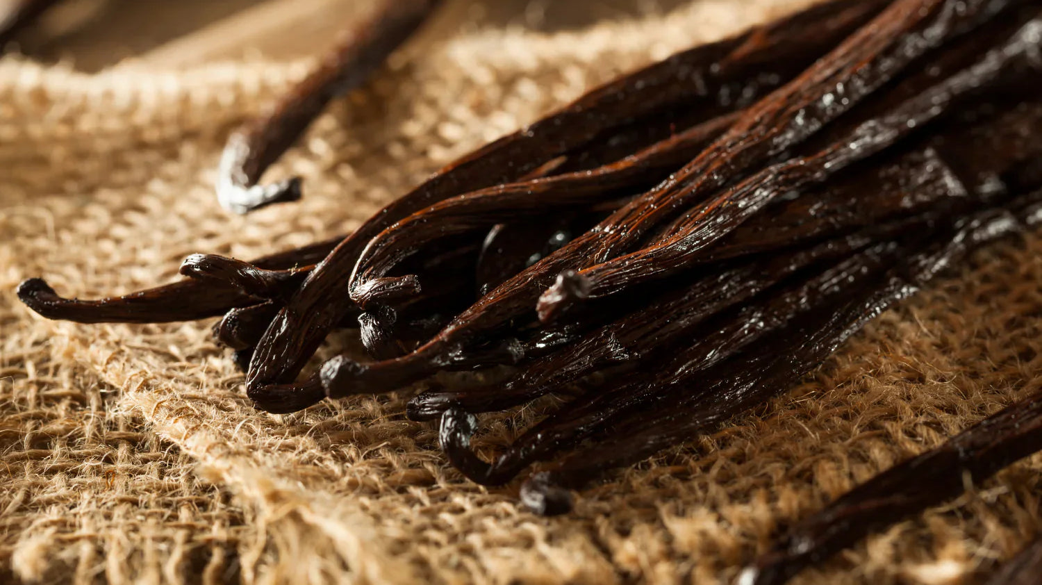 Unveiling the Magic of Organic Vanilla CO2