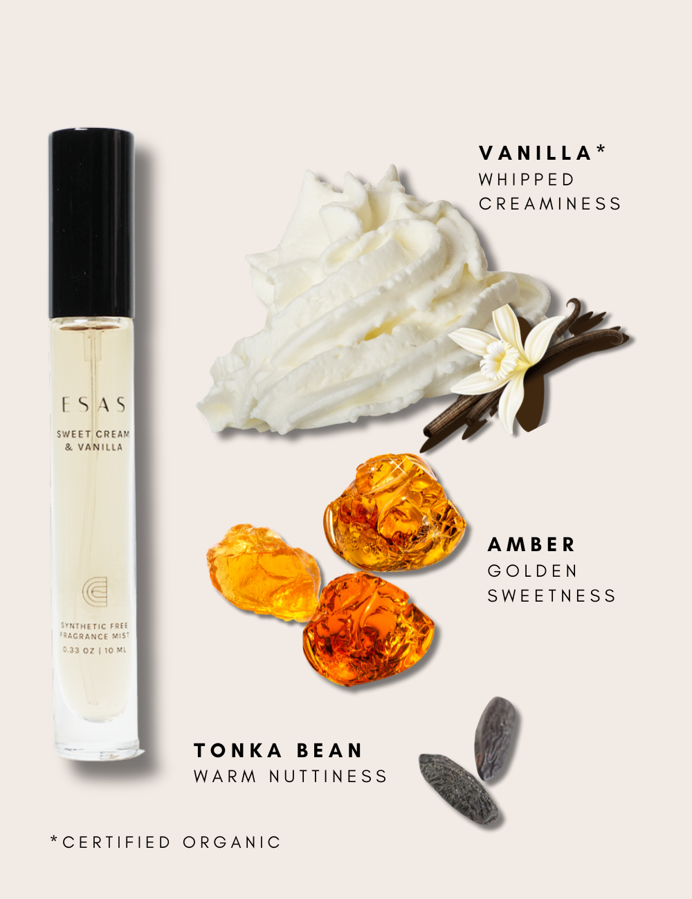 Vanilla - The Perfume Society