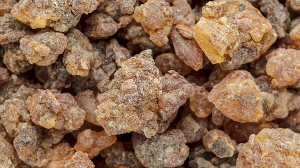 The Warm Embrace of Benzoin