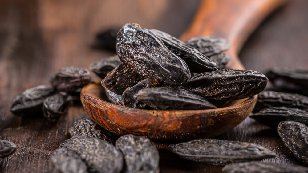 Ingredient Spotlight: The Warm Allure of Tonka Bean