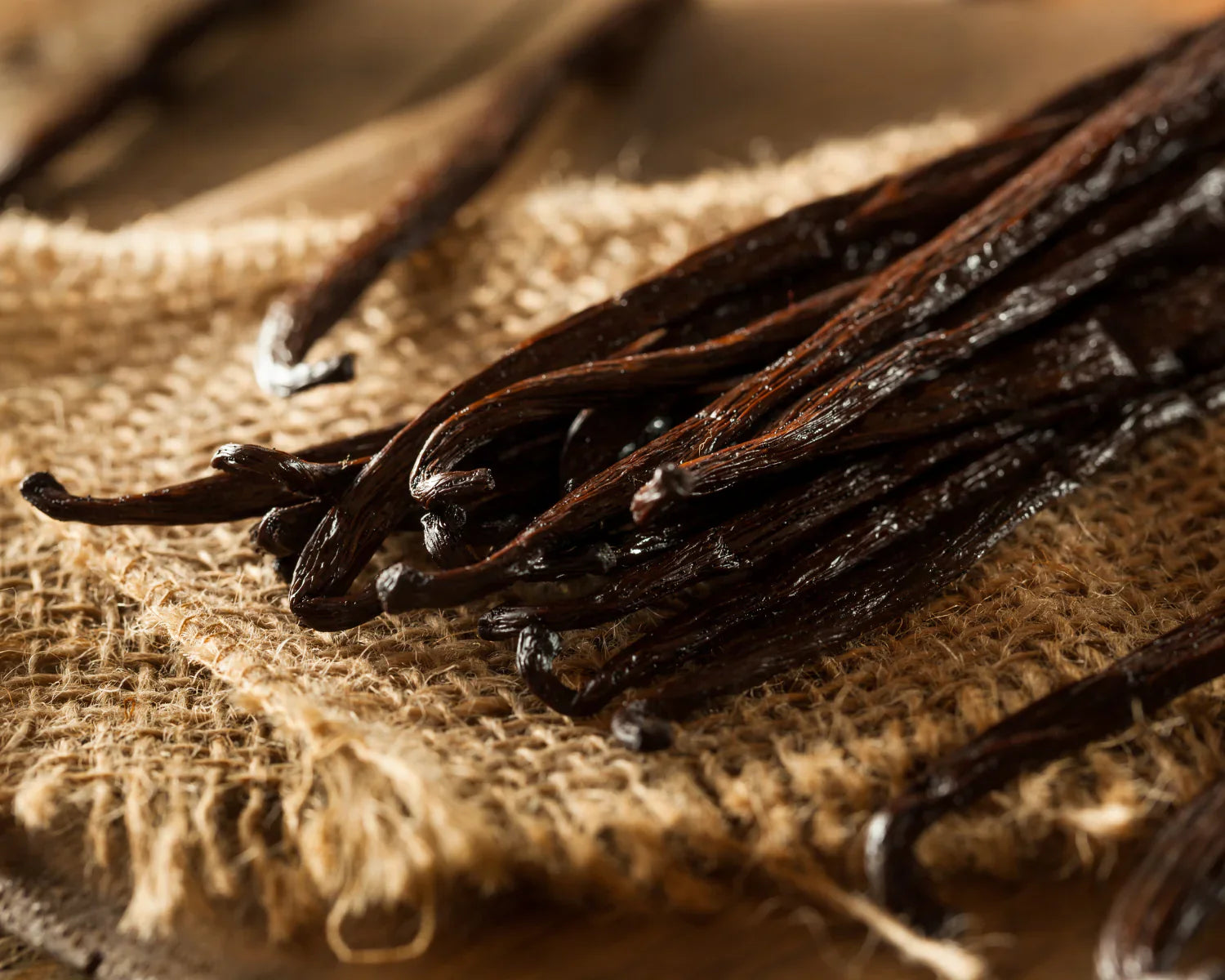 Unveiling the Magic of Organic Vanilla CO2