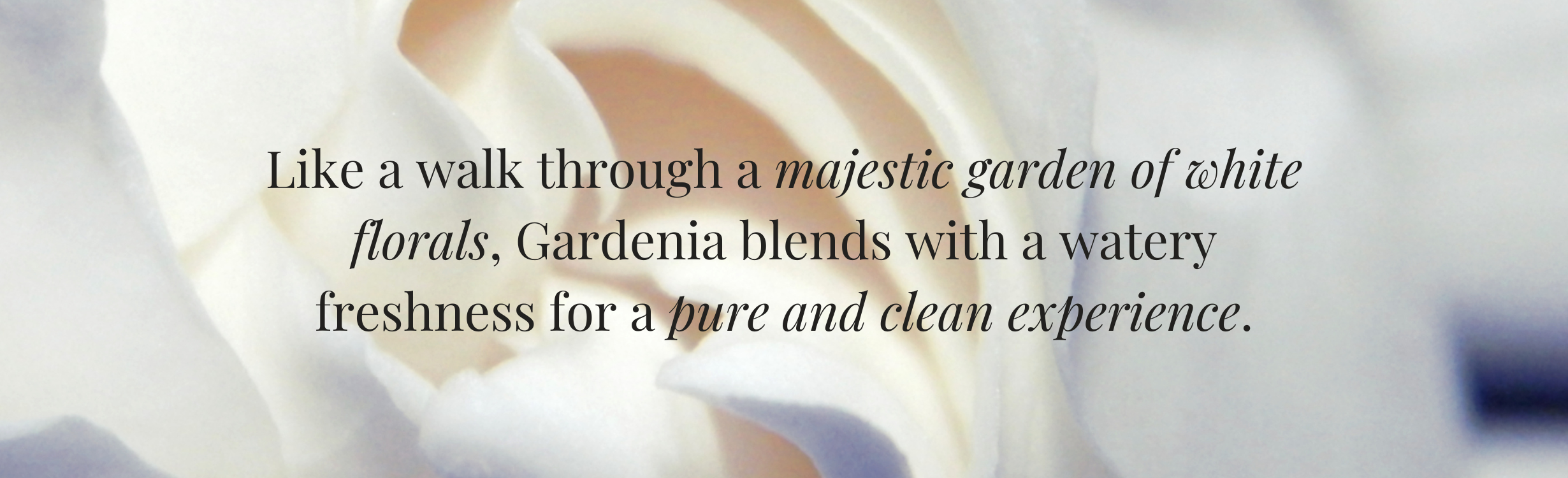 Gardenia & Lily Collection