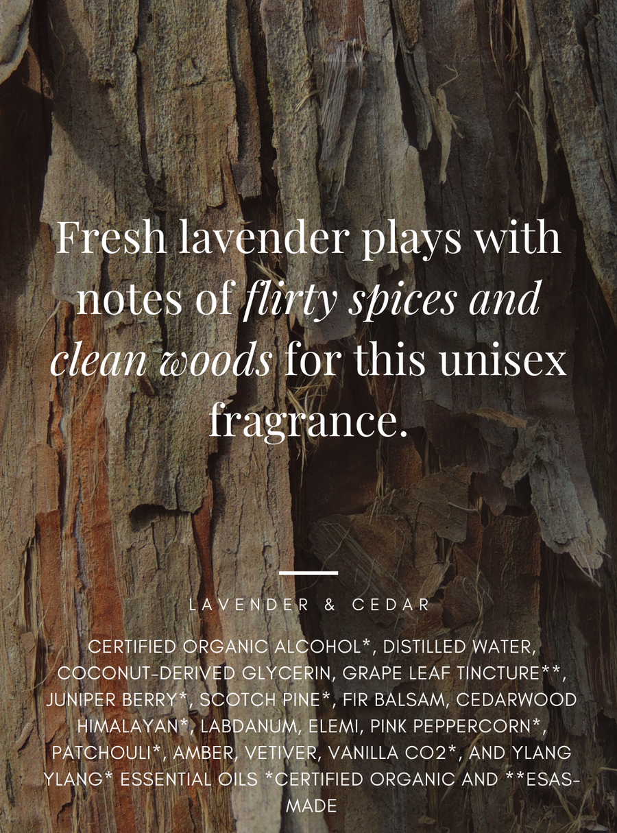 Lavender & Cedar Fragrance