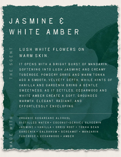 Jasmine & White Amber Fragrance